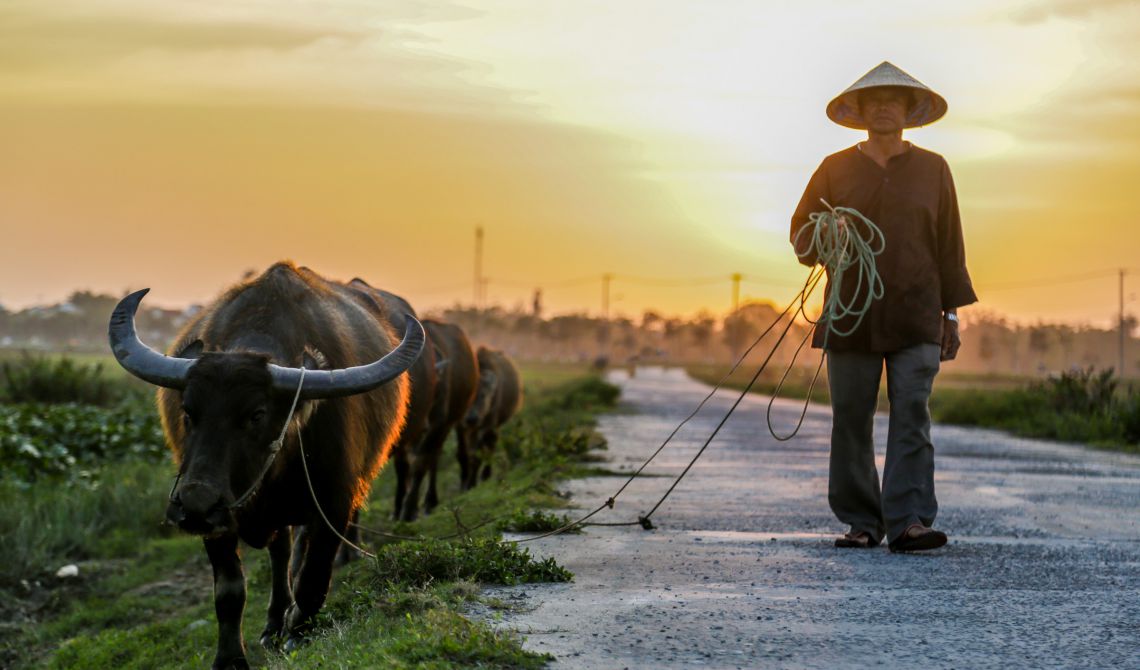 Local people in Da Nang, Vietnam